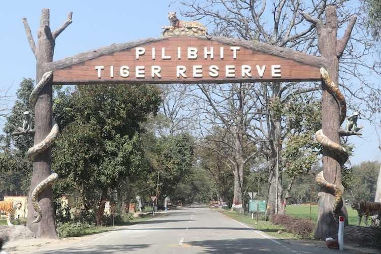 Tiger Reserve
